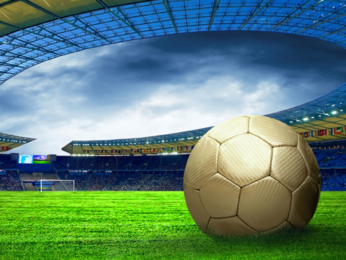 ���������ƺ